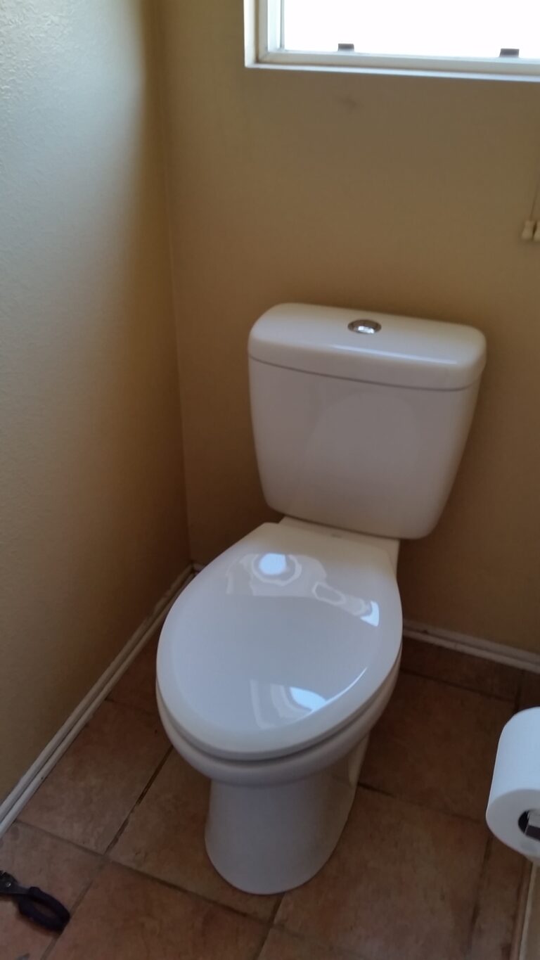 Toilet Assembly and Installation in Chino Hills