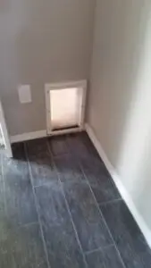 In-Wall Doggie Door Installation in Ontario